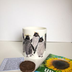 Fine Bone China Pot with Sunflower Seed Rockhoppers