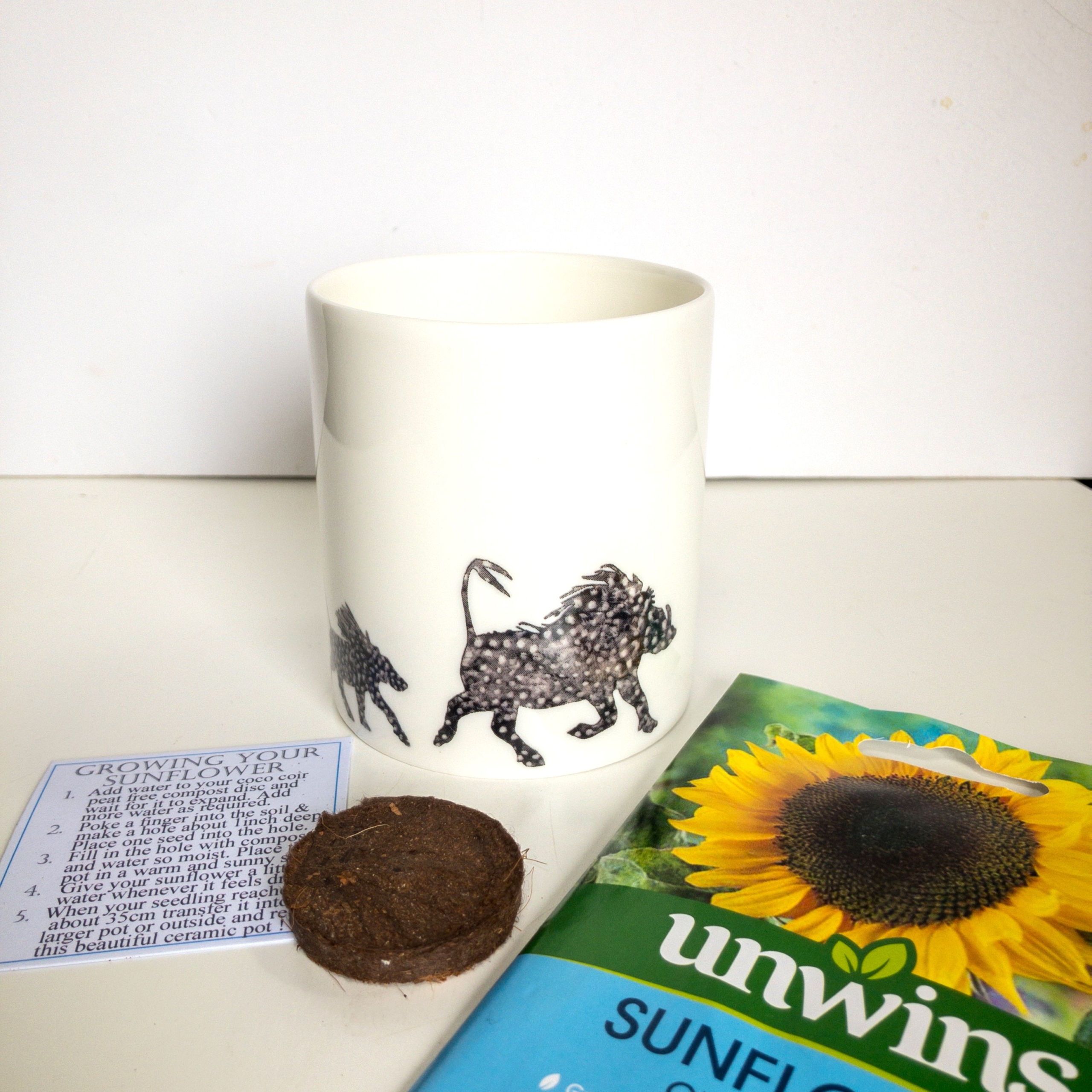 Fine Bone China Pot with Sunflower Seed Warthog