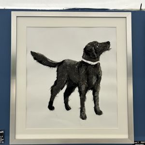 Original feather Labrador
