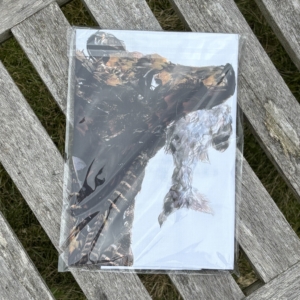 TEA TOWEL IN A GIFT BAG - Feather Bear