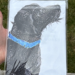 TEA TOWEL IN A GIFT BAG - Scruffy Labradoodle dog