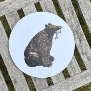 ROUND TABLEMAT - Brown Bear