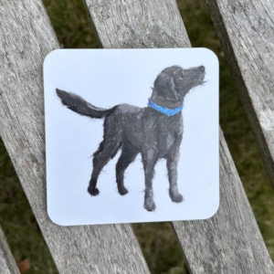 COASTER - Square Labradoodle Dog