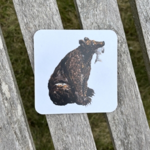 COASTER - Square Brown Bear
