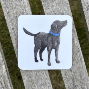 COASTER - Square Labrador Dog