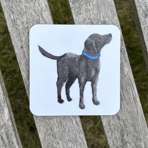 COASTER - Square Labrador Dog
