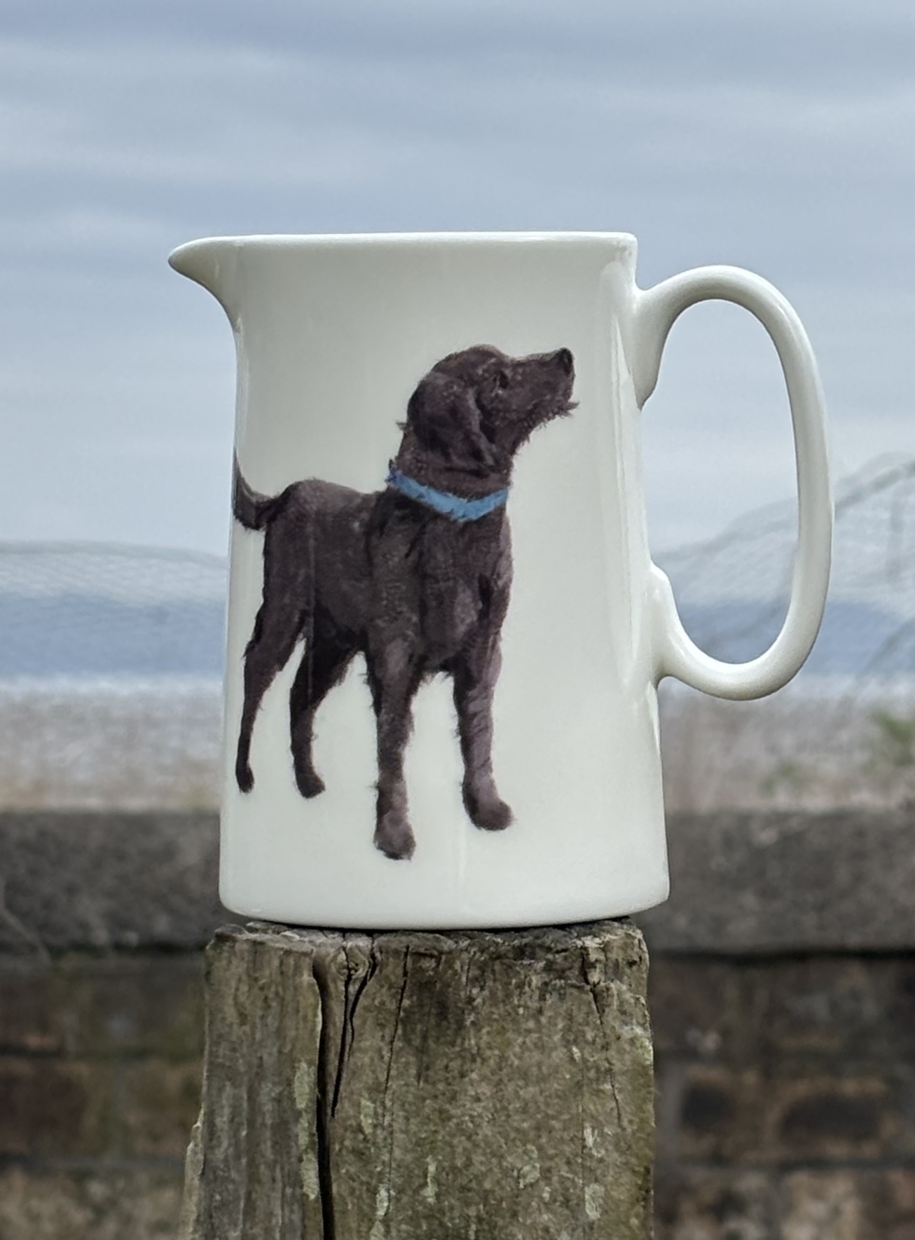 1 pint jug - Labradoodle