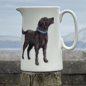 1 pint jug - Labradoodle