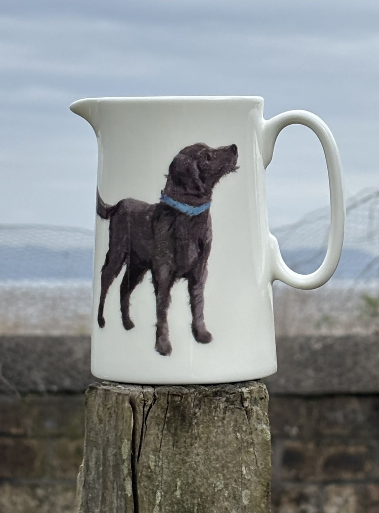 1 pint jug - Labradoodle
