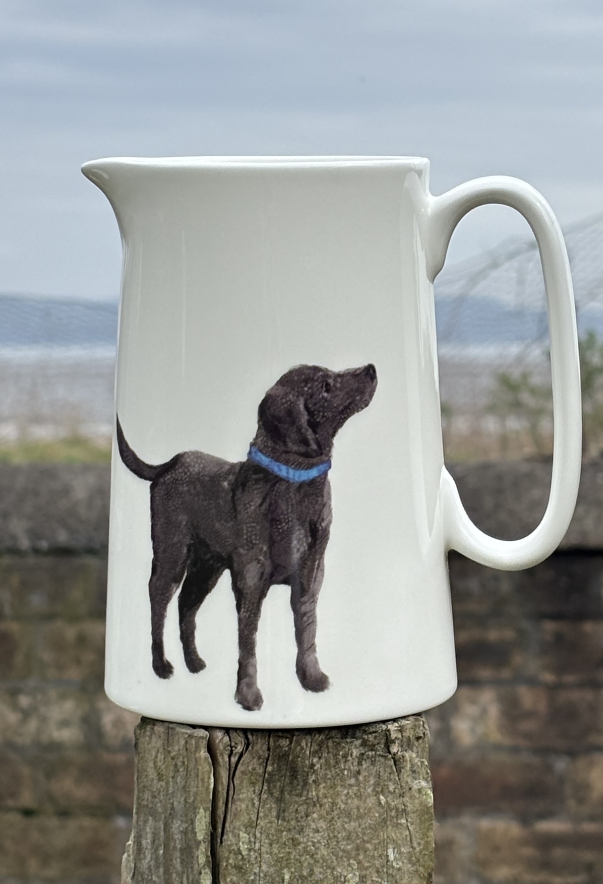 1 Pint Jug- Feather labrador