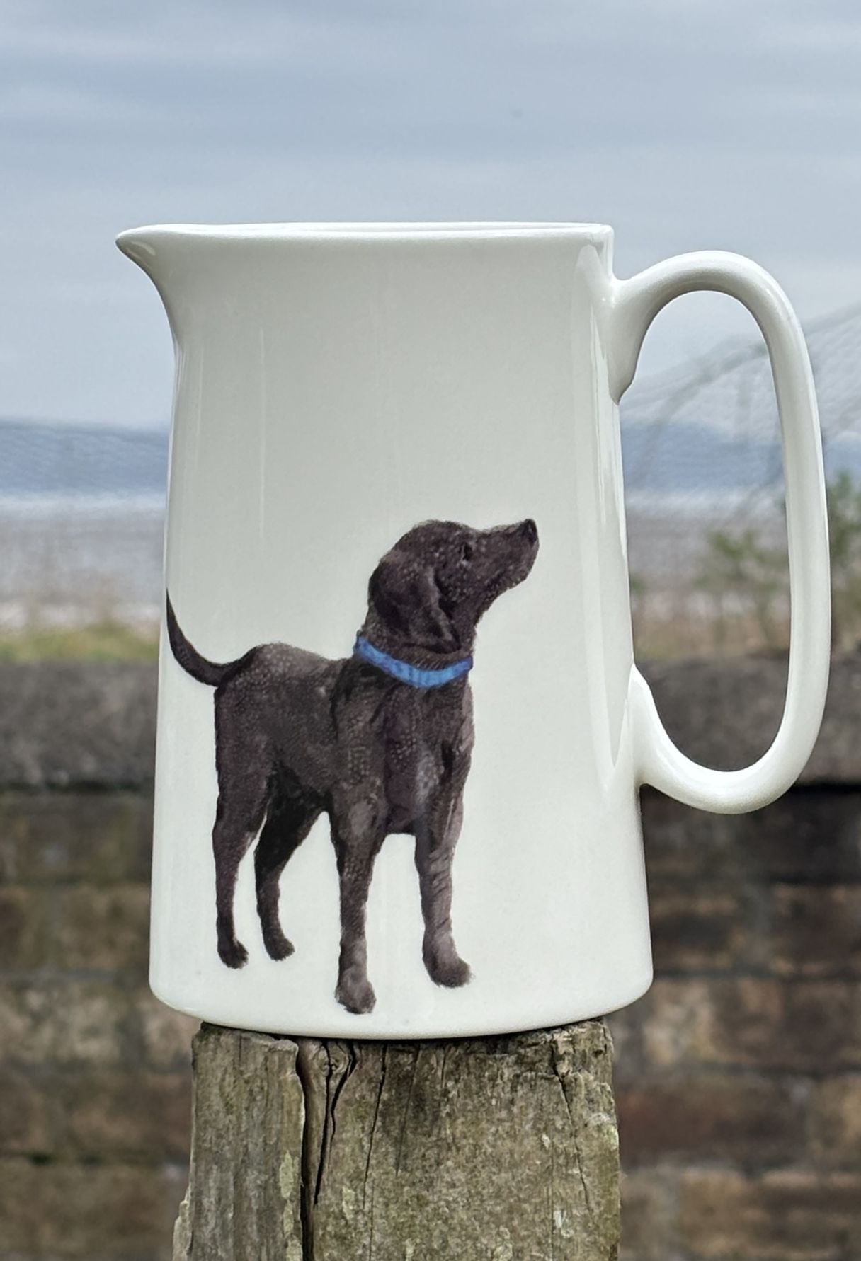 1 Pint Jug- Feather labrador