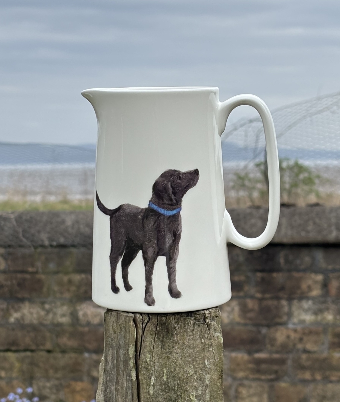 2 Pint Jug - Labrador