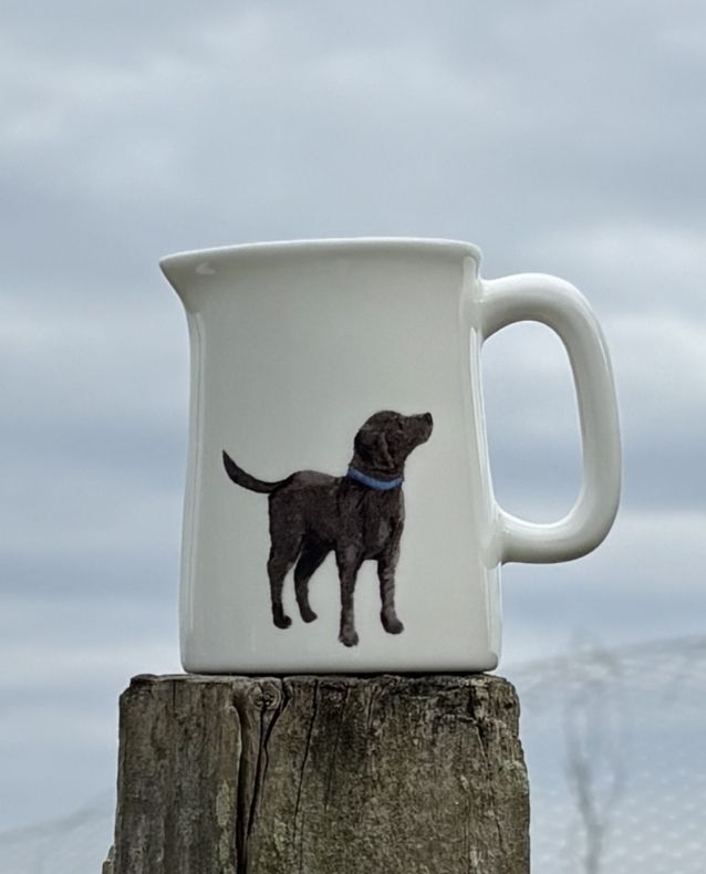 1/4 Pint Jug Labrador