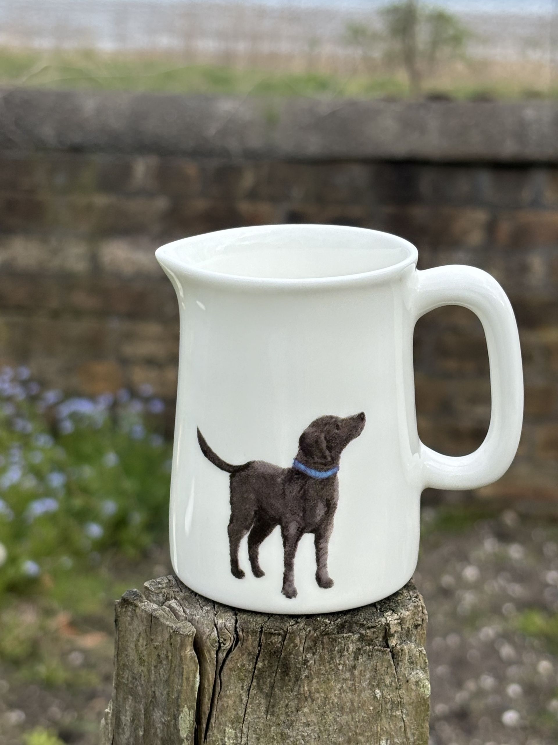 Mini 1/4 pint jug Labrador Labrador mini fine bone china jug quarter pint