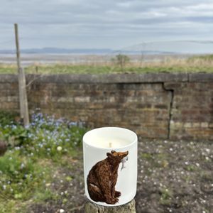 CANDLE - Feather Brown Bear hand poured ceramic pot candle in a gift box