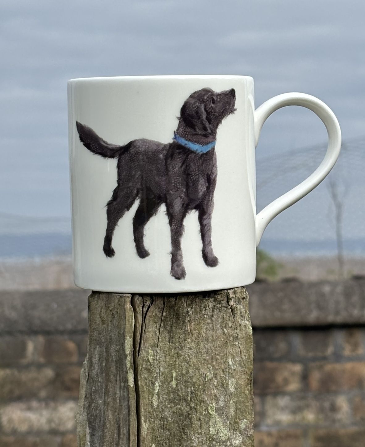 POP MUG - Feather Labradoodle Dog Design